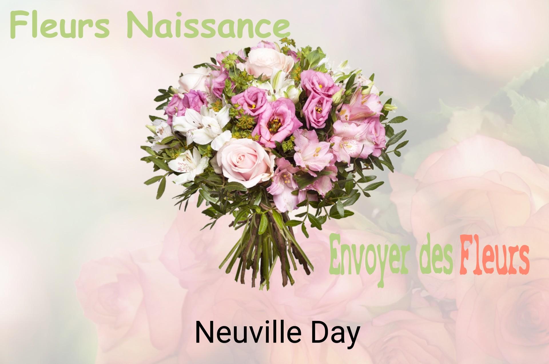 Bouquet de fleurs de naissance livré à Neuville-Day